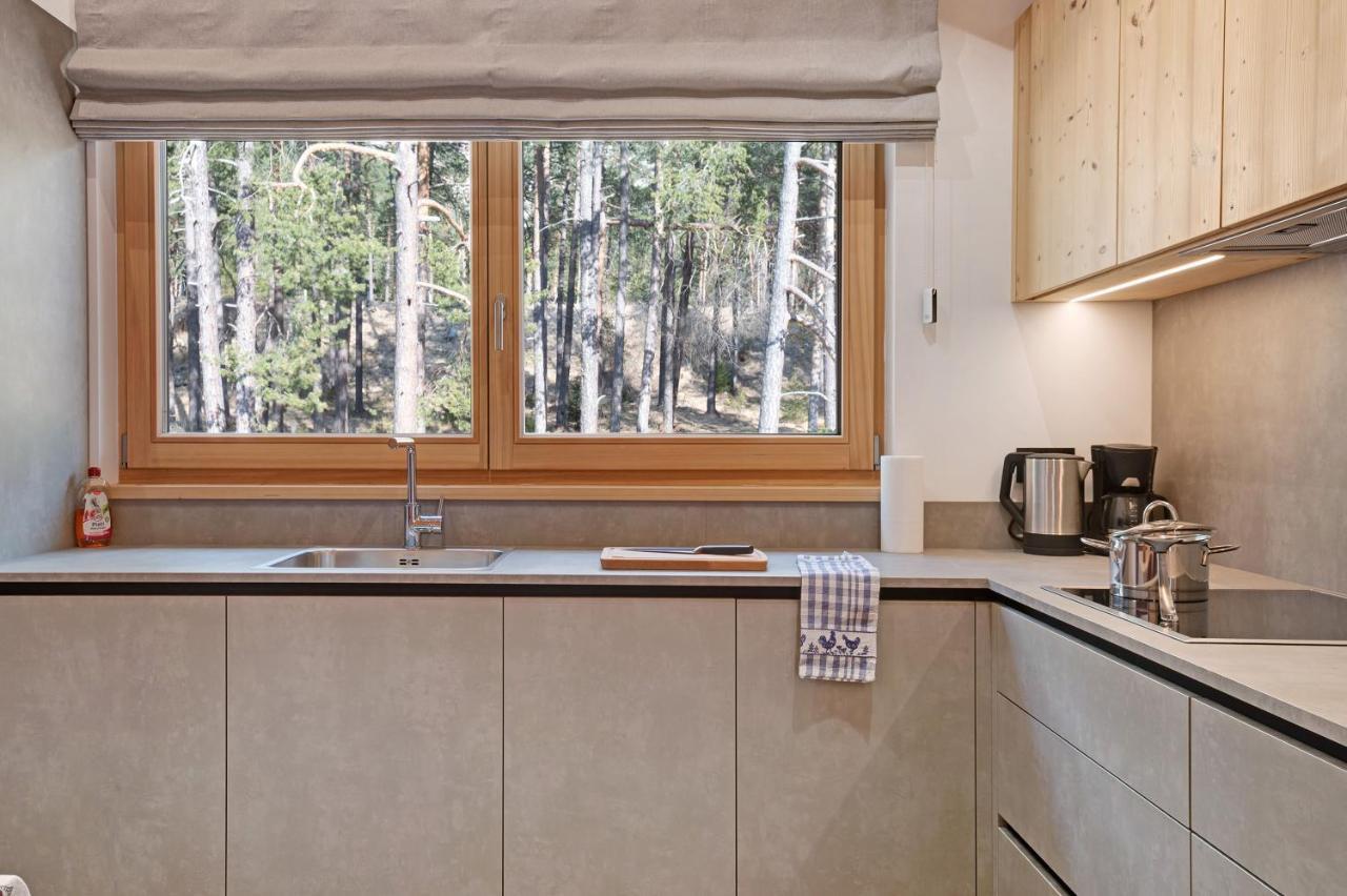 Les Ciases Chalets Dolomites Apt 5 Сан-Виджилио-ди-Мареббе Экстерьер фото